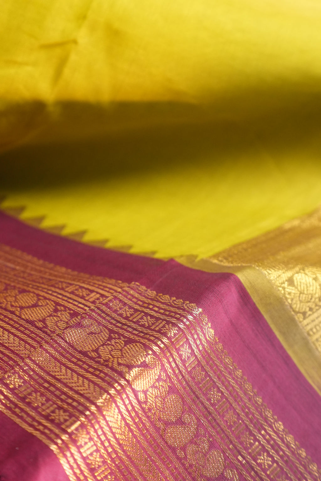 TARINI KANCHI COTTON #01