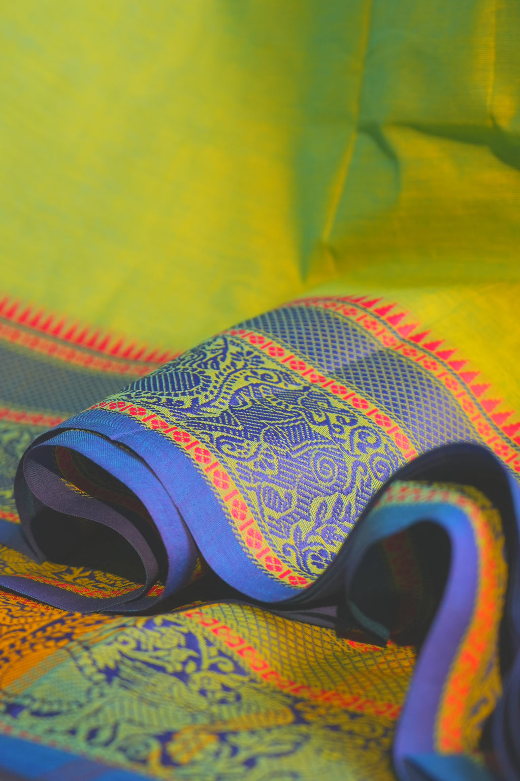 PRAVAA KANCHI COTTON #06